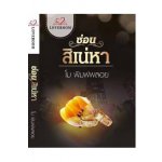 ซ่อนสิเน่หา / โม พิมพ์พลอย / ใหม่