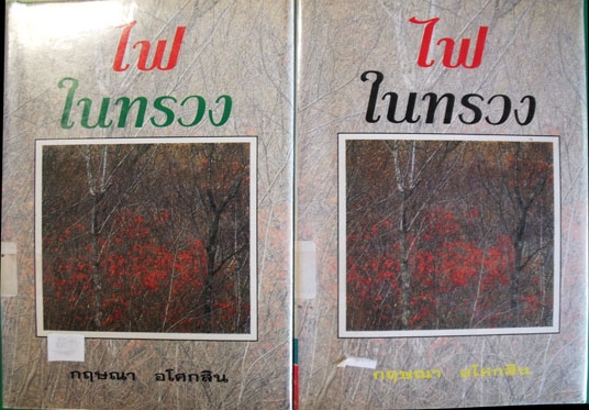 ไฟในทรวง / กฤษณา อโศกสิน / ใหม่ (ปกอ่อน)