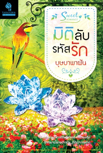 มิติลับรหัสรัก / บุษบาพาฝัน / มือสอง