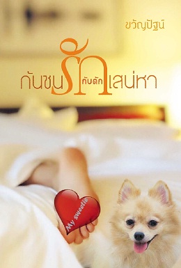 กันชนรักกับดักเสน่หา / ขวัญปัฐน์ (ป.ศิลา) / ใหม่  ทำมือพร้อมส่ง