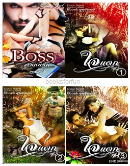 Bossสายเบิร์น+ใจแตก (2เรื่องใน1เล่ม) / กาสะลอง / ใหม่ ทำมือ ส่งฟรี