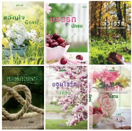 ซีรีส์ชุดทีมซีล (6 เล่ม) / รังสินี / ใหม่ ทำมือ+ปกผ้า