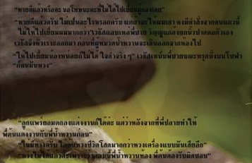 หลงรักนักรบ (ซีรีส์ชุดทีมซีล) / รังสินี / ใหม่ ทำมือ