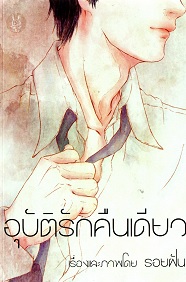 อุบัติรักคืนเดียว / รอยฝัน / ใหม่ ทำมือพร้อมส่ง