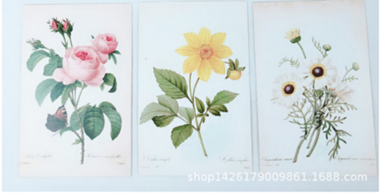 ของแถม Postcard ชุดรวมดอกไม้ B  (1กล่อง มี 30ชิ้น)  เมื่อซื้อ 3000บาทขึ้นไป