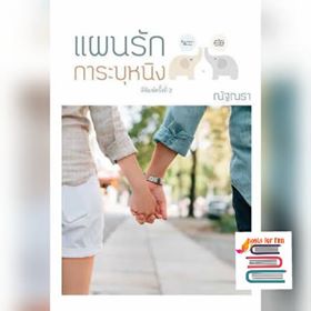 แผนรักการะบุหนิง (ฉบับพิมพ์ใหม่) / ณัฐณรา / ใหม่ ทำมือ