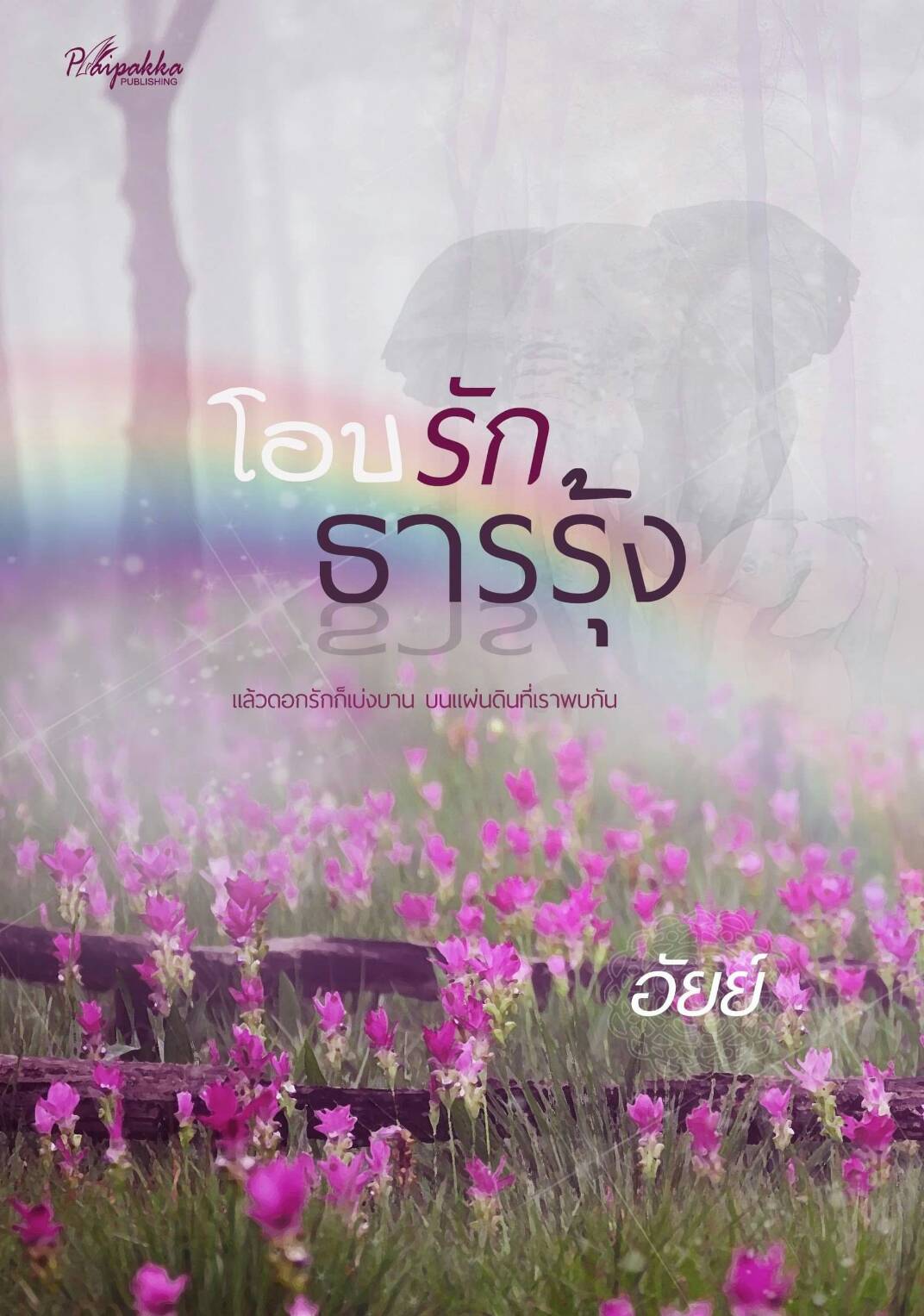 โอบรักธารรุ้ง / อัยย์ (สนพ.ปลายปากกา) / ใหม่ ส่งฟรี