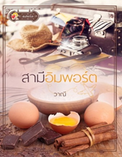 สามีอิมพอร์ต / วาณี (สนพ.แสนรัก พับลิชชิ่ง) / ใหม่